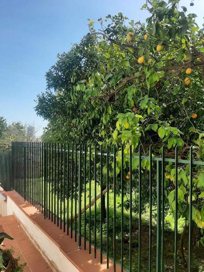 Villa Vesuvius Неаполь Экстерьер фото
